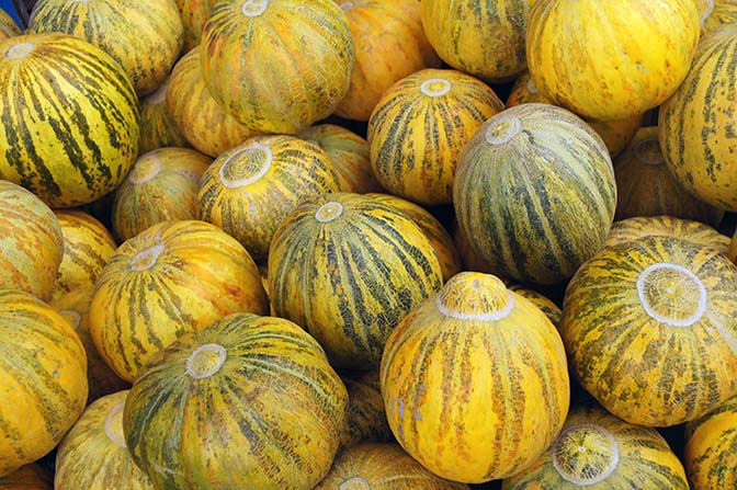 Melons in Altai market, Russia 2013