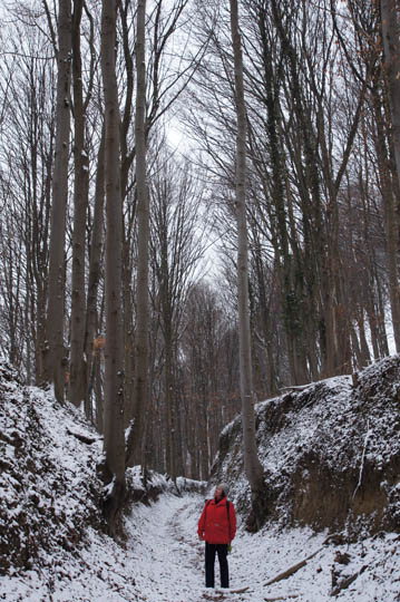 Gisela inside a vulcanic sunken lane (hollow way, Hohlweg) near Kiechlinsbergen, Kaiserstuhl 2013