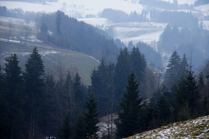 Snowy landscape, The Black Forest 2013