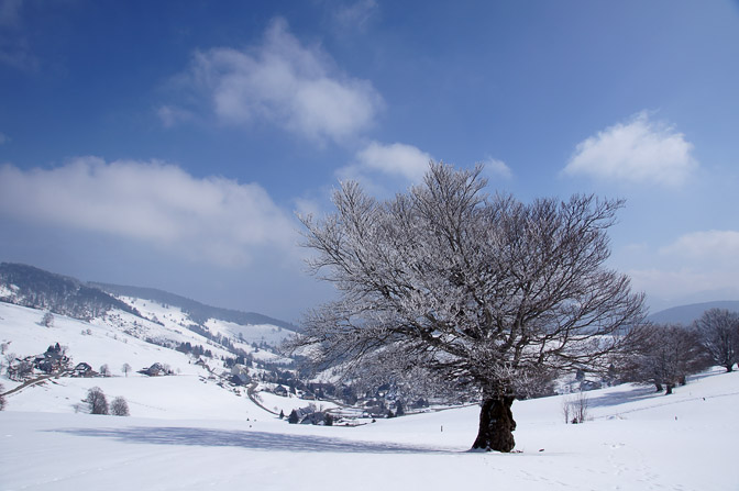 Snowy landscape from Hofsgrund, The Black Forest 2013