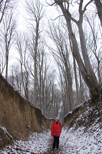 Gisela between the walls of a sunken lane (hollow way, Hohlweg) near Kiechlinsbergen, Kaiserstuhl 2013