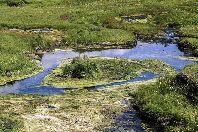 Hot water running through the meadow of Landmannalaugar camp, 2017