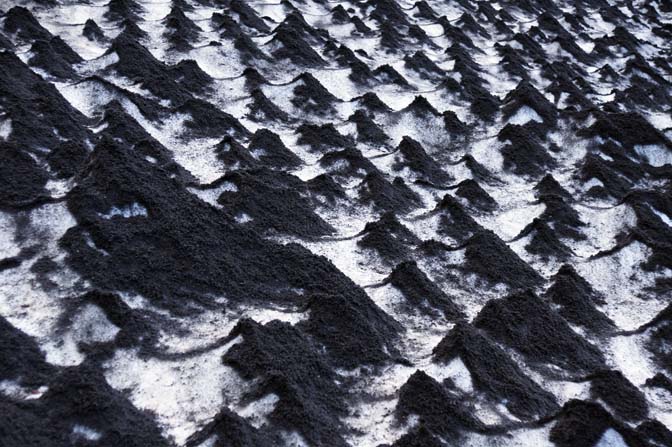 Volcanic ash on ice at Kverkfjoll, 2012