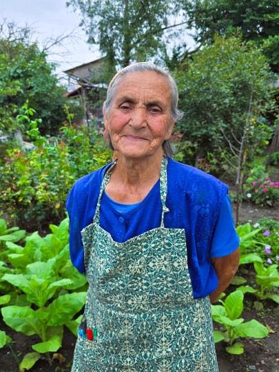Aranka grows Tabaco plants, Domanesti 2025