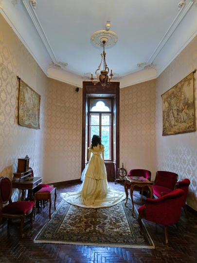 Room in Karolyi Castle, Carei 2025