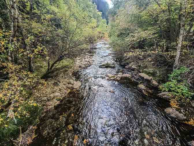 A tributary at the source of Pallaresa river, Catalonia 2023