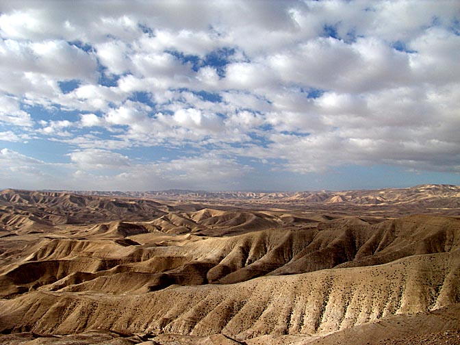 The soft landscape of  the northern Judean Desert, 2006