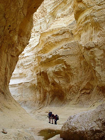 The Hardoof's impressive canyon, 2003