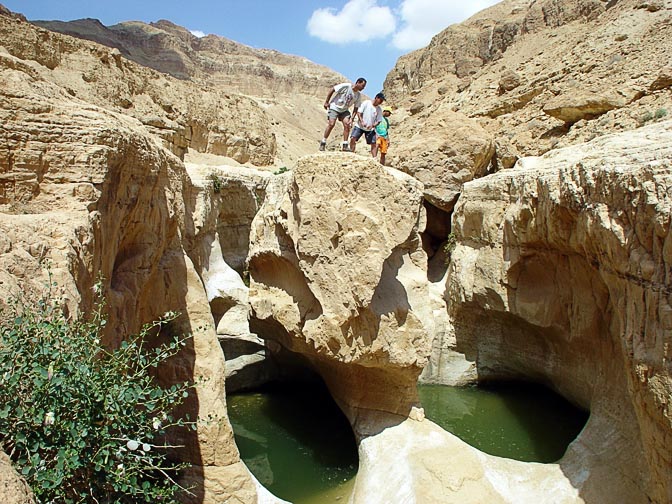 The Bahak water holes in the Zeelim Creek, 2003