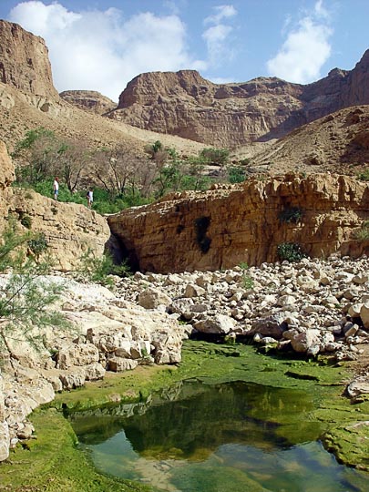 Tzaftzafa Spring in Hardoof Creek, 2003