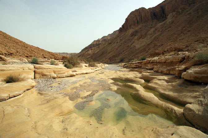 Wet desert following a flood in Chemar Creek, 2010