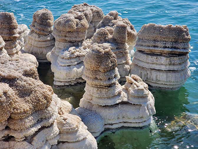 Salt mushroom towers north of the Nahal Tamar estuary, 2022
