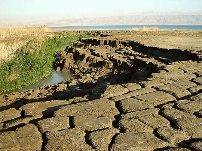 A cleft terra in Einot Zukim (Ein Feshka) nature reserve coast, 2003