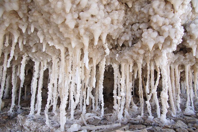 Salt Stalactites nearby Tmarin Creek estuary, 2015