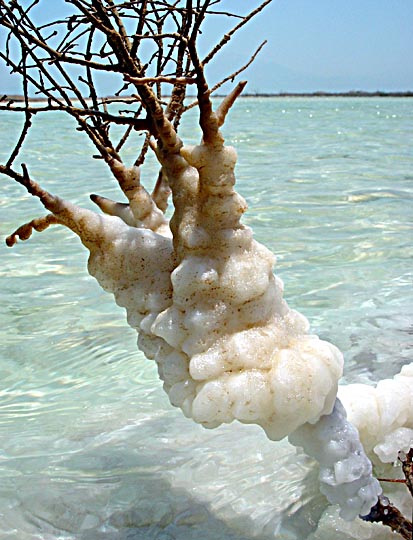 Salt crystals in the Dead Sea, Neve Zohar coast 2003