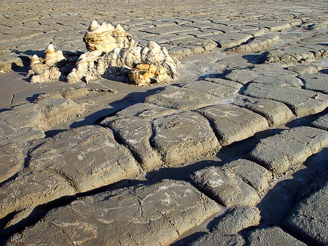 The cleft clay terra in Einot Zukim (Ein Feshkha) nature reserve coast, 2003