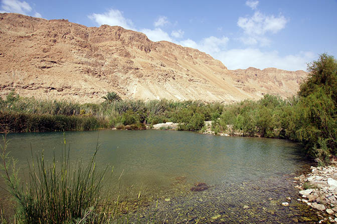 The big pool, stoned by underground dam, The Hidden Oasis of Einot Zukim (Ein Feshka) nature reserve 2016