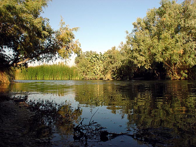 Amnon Lake, The Hidden Oasis of Einot Zukim (Ein Feshka) nature reserve 2003