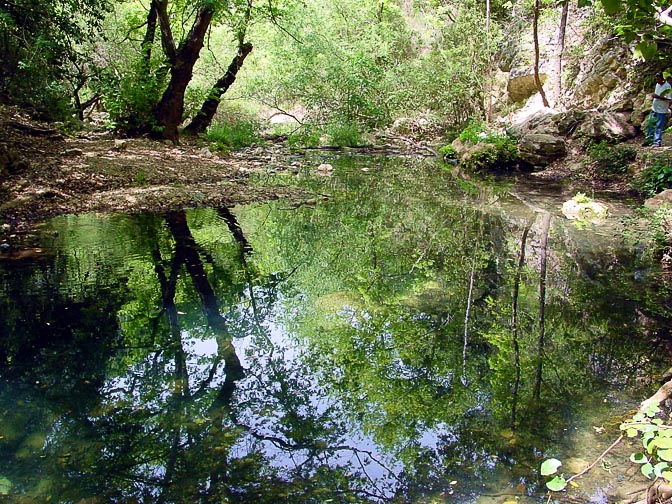 יופיו הפראי של נחל כזיב משתקף במי הנחל, הגליל העליון 2001
