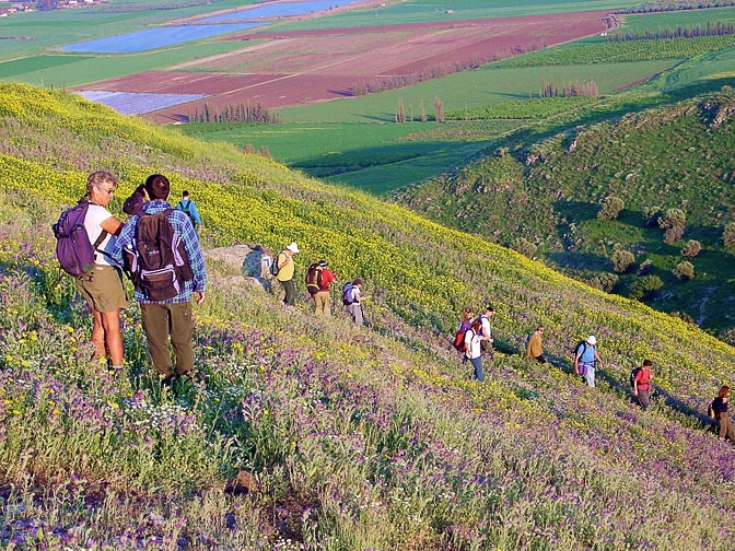 Hug Elad in a colorful field, on the descent to Yavniel valley, The Lower Galilee 2002