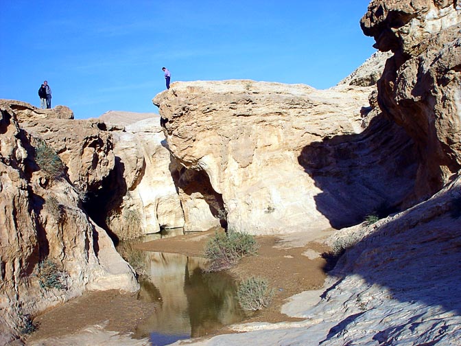 Yorkeam spring at its prime in winter, The Israel National Trail 2003