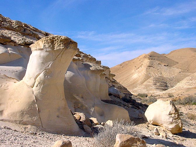 Sagi Creek landscape, 2002