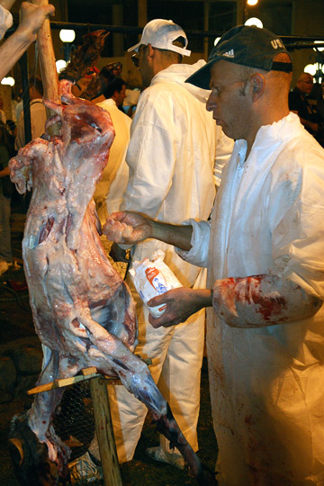 Sprinkling the sacrificed lamb - impaled on a big wooden spit - with salt, Mount Gerizim 2011
