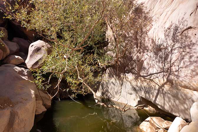 A granite pool nearby Galt el-Azraq in Wadi Talaa Kibira, 2021