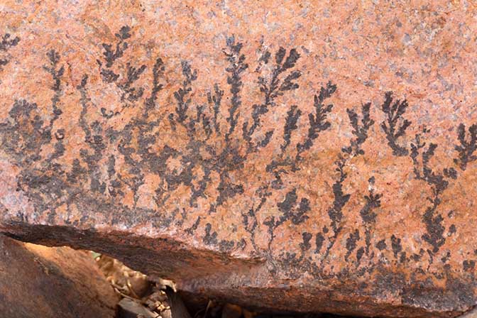 Manganese flowers (manganese dendrites) spread within the cracks of a red granite, 2021