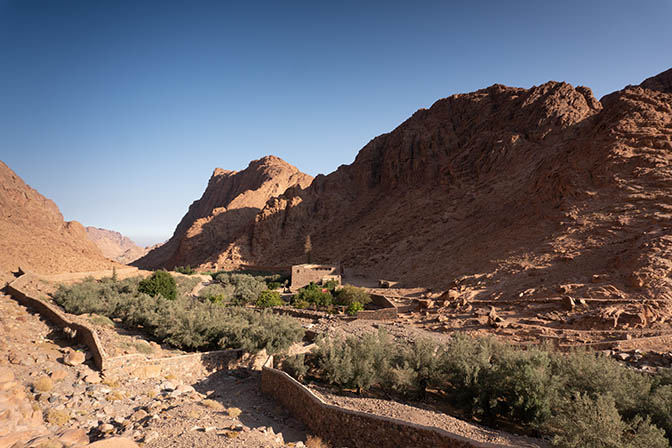 The Monastery of the Forty Martyrs with a big garden, olive groves and cypress trees in Wadi el-Arbain, 2021