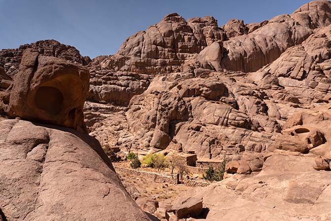 The Chapel of St. Panteleimon, locally known as Kinessa el Homar, set in a small bustan (Bedouin garden) in Farsh Safsafa, 2021