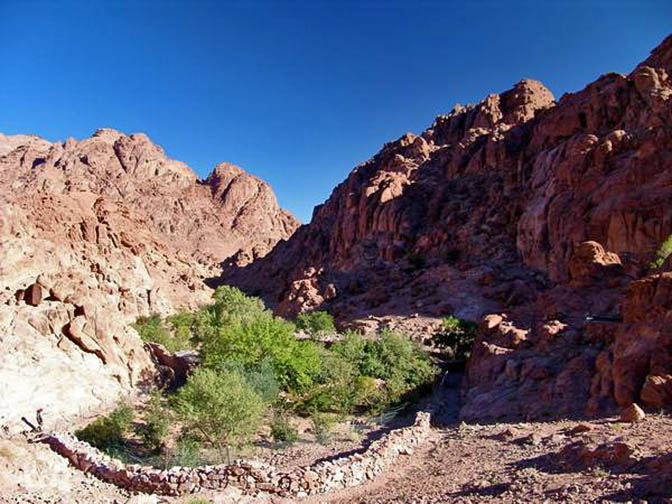 The Oasis in Farsh Rummana, 2005