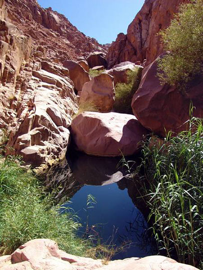 The pool of Galt el-Azraq, 2005