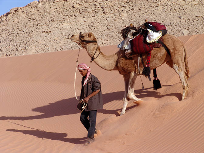 Down a dune in Wadi er Raqiya, 2006