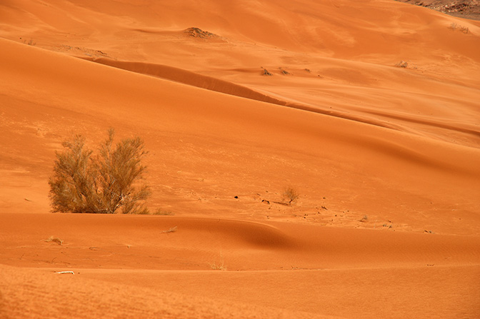 The orange sand dunes of Wadi er Raqiya, 2011