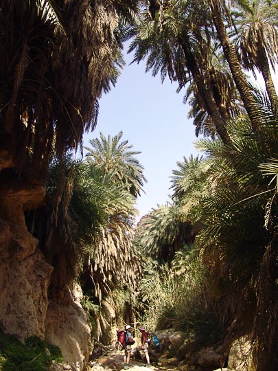 Aviv and Tamar beneath the palms decorating the ravines of Wadi Manshala, 2007