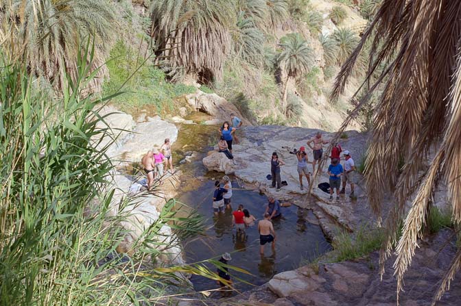 Shapirit group members are dipping in the fresh water at the top of a waterfall in Wadi Manshala, 2012
