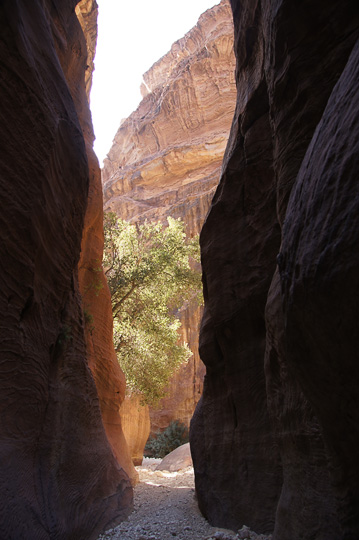 Bright light on the ascent to Mount Baja, 2014