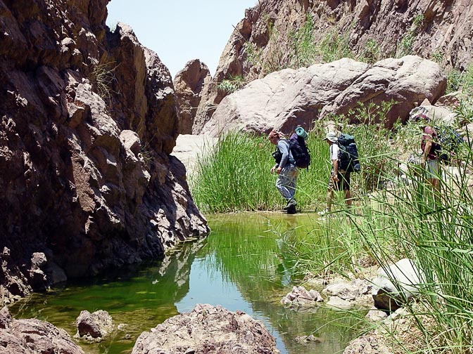 Crossing a stream on the exit from Wadi Abu Sakakin, 2003