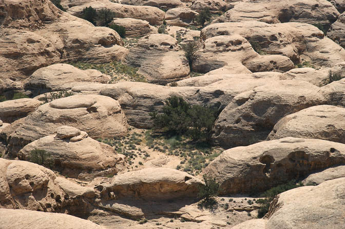 The round domes of white sandstone (Disi formation) on top of Jabel Barza,2010