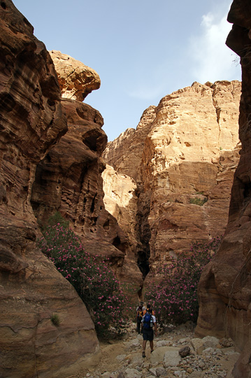 The impressive sandstone gorge of Wadi Abu el-'Uruq, 2010