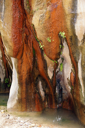 Thermal spring water is dripping down the surface of wadi walls, 2014