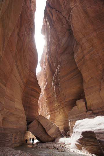 Inside the red sandstone gorge (Solomon formation), 2014