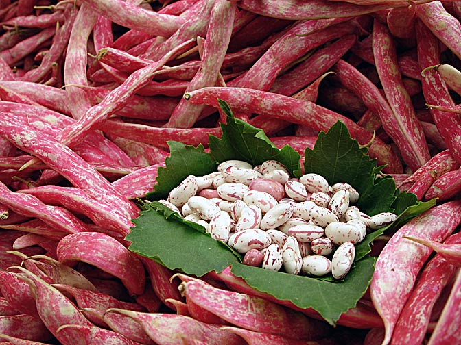 Barbunya red beans in the Wednesday Market in Charshamba, 2003