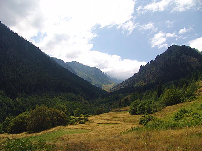 The view close to Pisenkaya, 2005