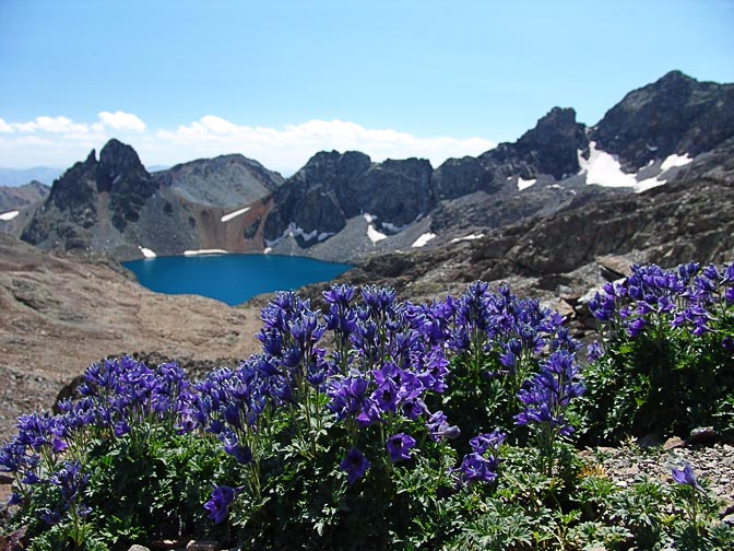 Blue flowers with the Deniz Golu lake in the background, on the descent from the Kachkar peak, 2005