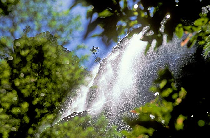 Wentworth Falls in the Blue Mountains, west of Sydney, New South Wales 1999