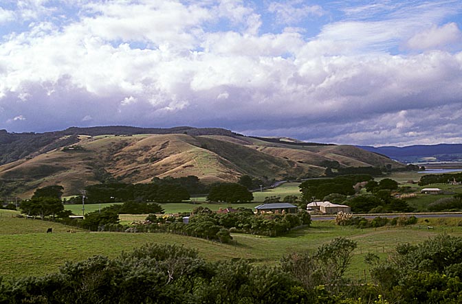 The view along the Great Ocean Road, Victoria 1999