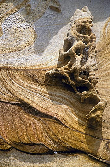 Sand formations on Dangar Island, North Sydney, New South Wales 1999
