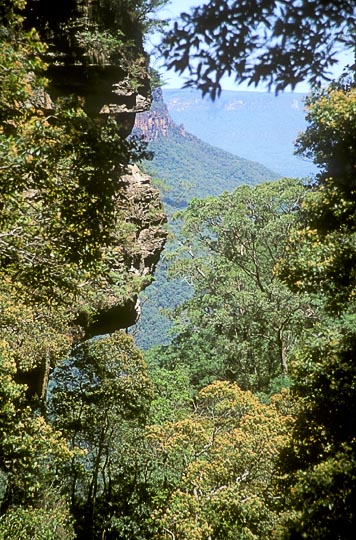 Wentworth Falls in the Blue Mountains, west of Sydney, New South Wales 1999